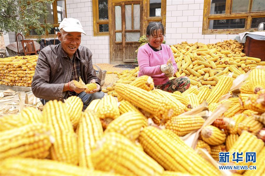 （全面建成小康社會(huì)&ldquo;百城千縣萬(wàn)村調(diào)研行&rdquo;&middot;圖文互動(dòng)）（4）寧夏華寺村：做活&ldquo;土&rdquo;文章 村民享小康