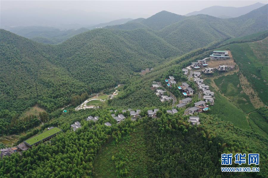 (新華全媒頭條·圖文互動)(8)“綠”從天目盎然出——湖州做好“六穩(wěn)”工作落實“六保”任務(wù)新觀察