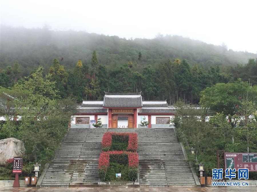 （熱點(diǎn)鮮報(bào)&middot;圖文互動）（5）善洲精神永相傳：留下一片綠洲 造福家鄉(xiāng)百姓