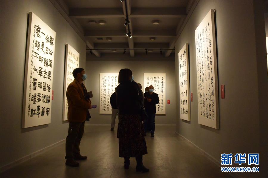 (新華網(wǎng)·圖文互動(dòng))(3)“黃河明珠——龍門石窟國(guó)際書法名家邀請(qǐng)展”開展