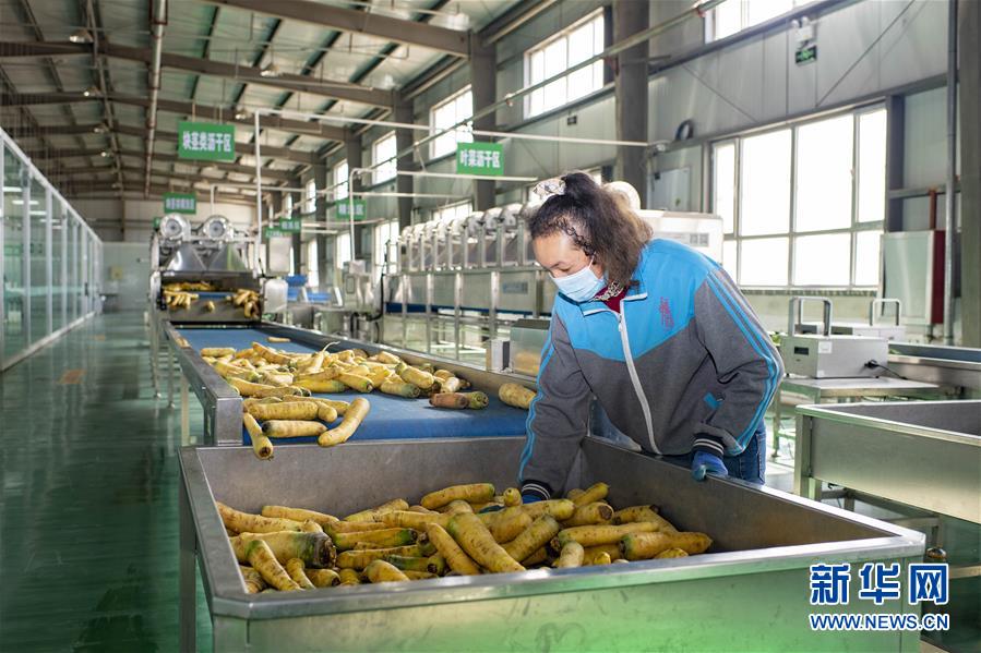 （聚焦疫情防控&middot;圖文互動(dòng)）（2）把握先機(jī) 應(yīng)對(duì)有序&mdash;&mdash;新疆疏附縣全力阻斷新冠肺炎病毒傳播