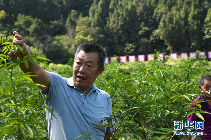 （決戰(zhàn)決勝脫貧攻堅(jiān)&middot;圖文互動(dòng)）（4）&ldquo;堵槍眼&rdquo;的脫貧戰(zhàn)怎么打？&mdash;&mdash;繼光村見(jiàn)聞