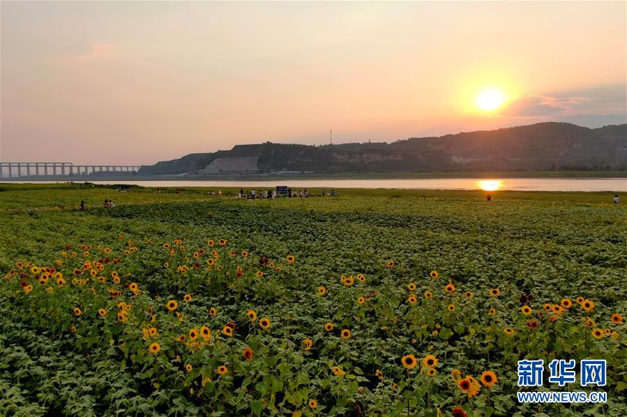 （新華全媒頭條&middot;圖文互動）（12）從&ldquo;四亂&rdquo;突出到生態(tài)修復(fù) 黃河漸成中原&ldquo;綠飄帶&rdquo;