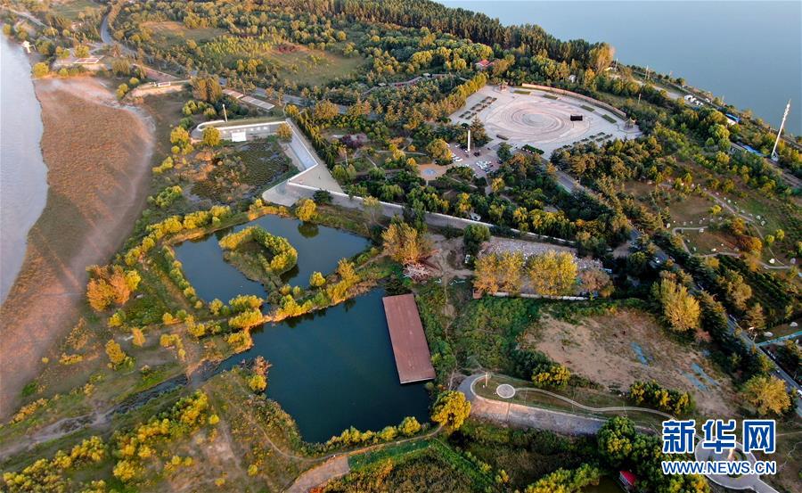 （新華全媒頭條&middot;圖文互動）（14）從&ldquo;四亂&rdquo;突出到生態(tài)修復(fù) 黃河漸成中原&ldquo;綠飄帶&rdquo;