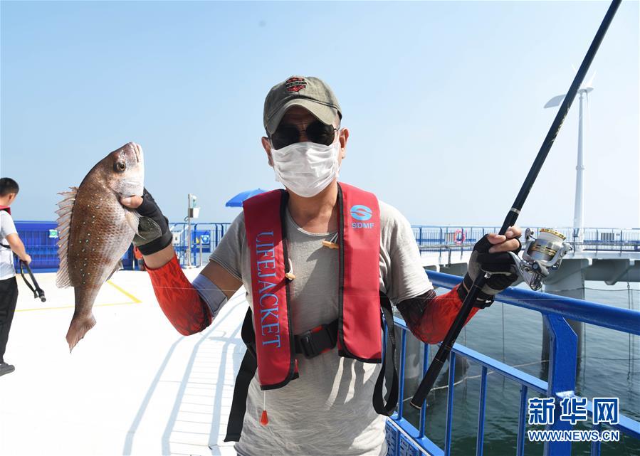 (新華全媒頭條·圖文互動)(4)“拔”海起牧場 “耕”海新牧歌