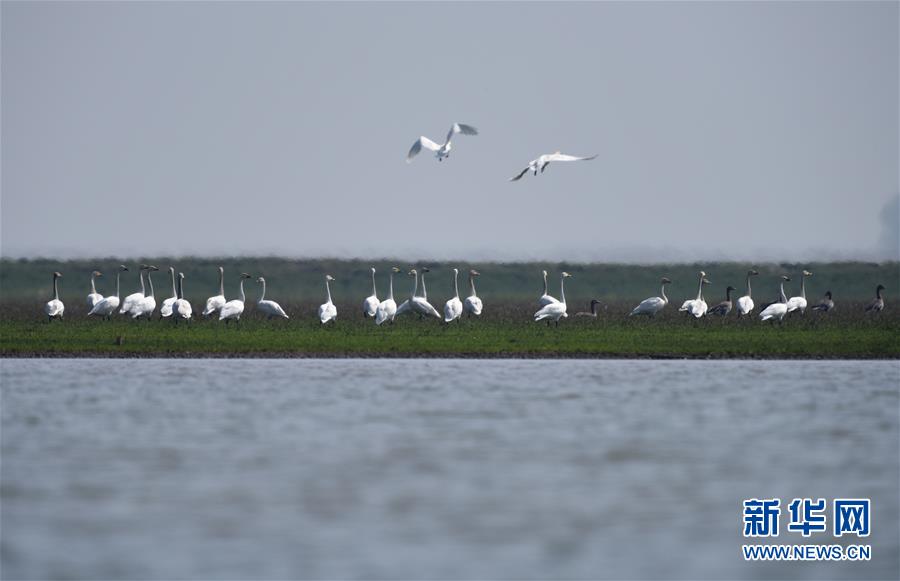 （新華全媒頭條&middot;圖文互動）（11）潮起東方萬象新&mdash;&mdash;以習(xí)近平同志為核心的黨中央團(tuán)結(jié)帶領(lǐng)全黨全軍全國各族人民貫徹落實黨的十九大精神紀(jì)實