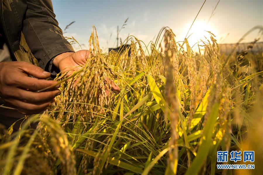 （新華全媒頭條&middot;圖文互動(dòng)）（5）上下同心再出發(fā)&mdash;&mdash;習(xí)近平總書記同出席2019年全國兩會(huì)人大代表、政協(xié)委員共商國是紀(jì)實(shí)