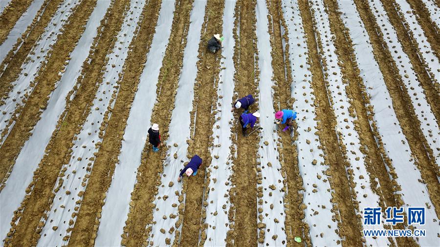 （在習近平新時代中國特色社會主義思想指引下&mdash;&mdash;新時代新作為新篇章&middot;習近平總書記關切事&middot;圖文互動）（8）啃下最后的硬骨頭&mdash;&mdash;脫貧攻堅掛牌督戰(zhàn)進行時