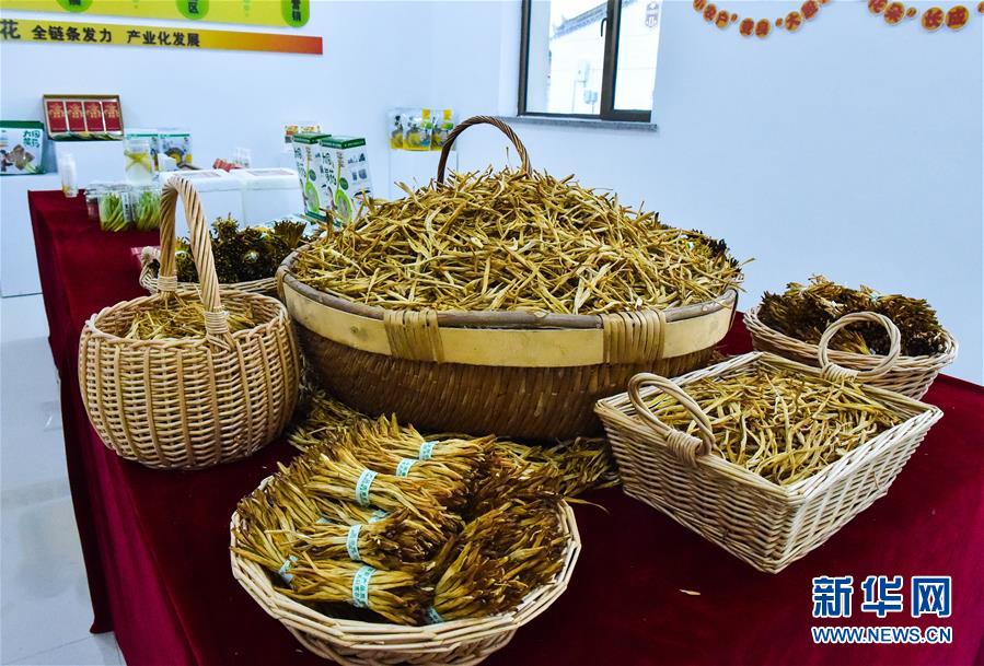 （新華全媒頭條&middot;圖文互動）（3）初夏，循著總書記的腳步探訪產(chǎn)業(yè)扶貧新事