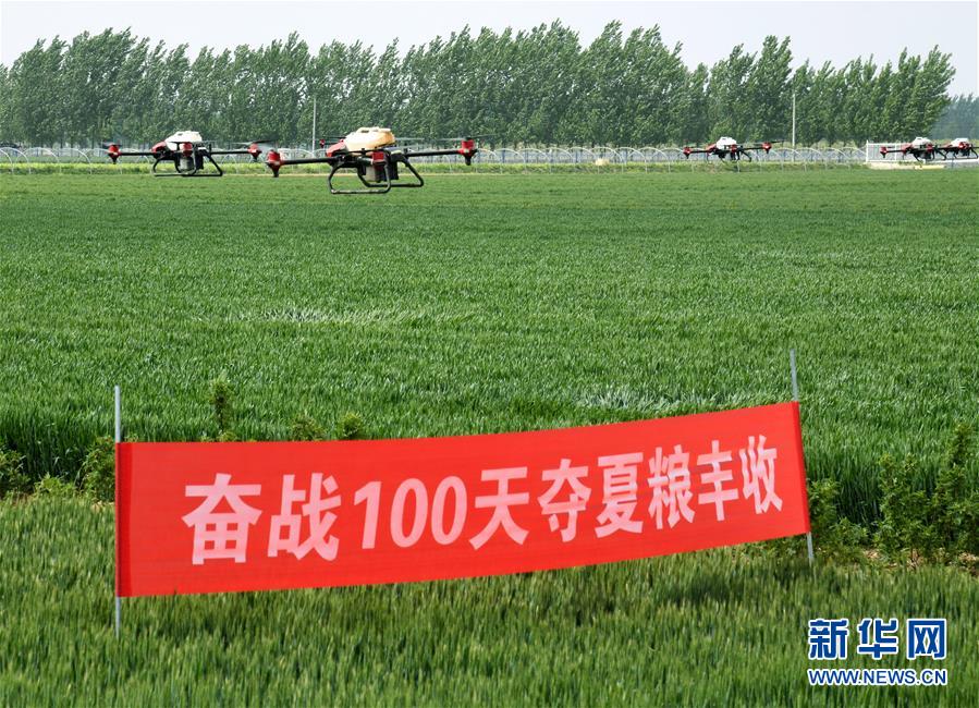 （在習(xí)近平新時(shí)代中國特色社會主義思想指引下&mdash;&mdash;新時(shí)代新作為新篇章&middot;習(xí)近平總書記關(guān)切事&middot;圖文互動）（9）新農(nóng)事、新希望&mdash;&mdash;夏收前田間新動態(tài)掃描