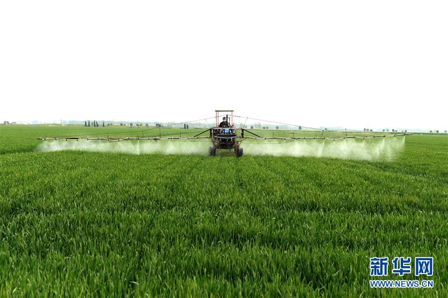 （在習(xí)近平新時(shí)代中國特色社會主義思想指引下&mdash;&mdash;新時(shí)代新作為新篇章&middot;習(xí)近平總書記關(guān)切事&middot;圖文互動）（10）新農(nóng)事、新希望&mdash;&mdash;夏收前田間新動態(tài)掃描