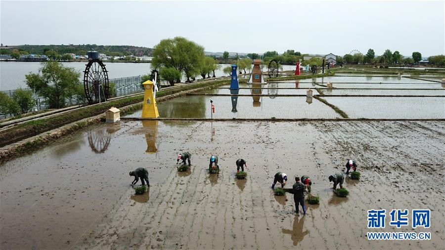 （在習近平新時代中國特色社會主義思想指引下&mdash;&mdash;新時代新作為新篇章&middot;習近平總書記關(guān)切事&middot;圖文互動）（6）讓農(nóng)民挑上&ldquo;金扁擔&rdquo;&mdash;&mdash;農(nóng)業(yè)現(xiàn)代化的生動實踐掃描