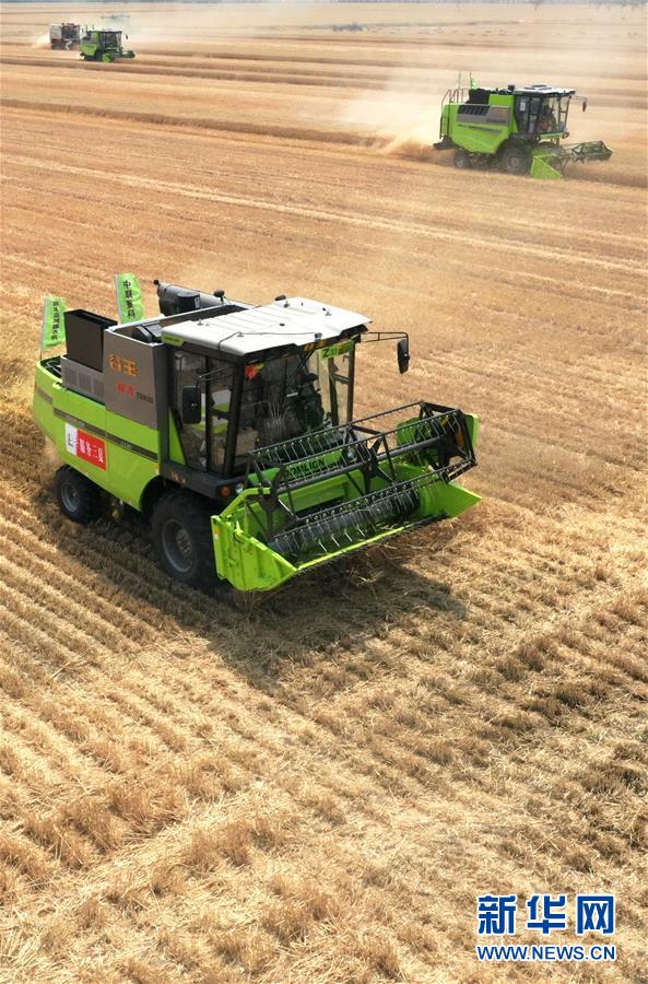 （在習近平新時代中國特色社會主義思想指引下&mdash;&mdash;新時代新作為新篇章&middot;習近平總書記關(guān)切事&middot;圖文互動）（13）讓農(nóng)民挑上&ldquo;金扁擔&rdquo;&mdash;&mdash;農(nóng)業(yè)現(xiàn)代化的生動實踐掃描