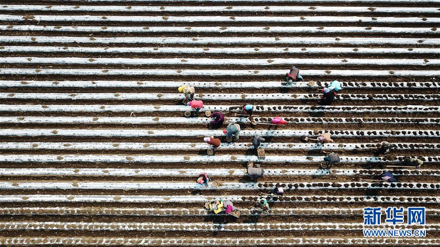 （在習(xí)近平新時(shí)代中國(guó)特色社會(huì)主義思想指引下&mdash;&mdash;新時(shí)代新作為新篇章&middot;習(xí)近平總書(shū)記關(guān)切事&middot;圖文互動(dòng)）（2）讓每一寸耕地都成為豐收的沃土&mdash;&mdash;我國(guó)加強(qiáng)耕地保護(hù)推進(jìn)&ldquo;藏糧于地&rdquo;