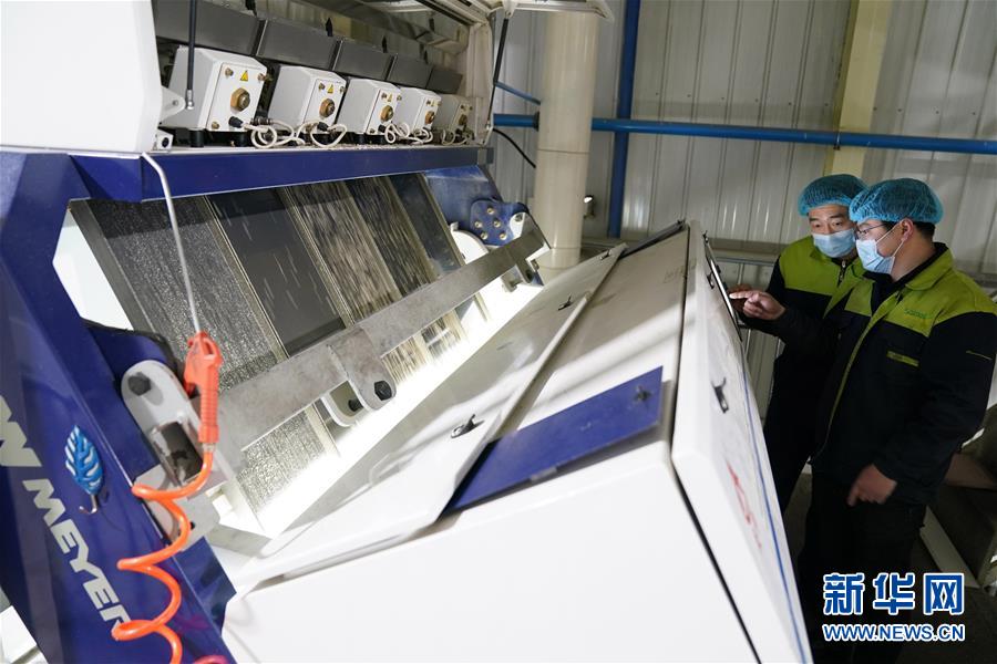 （在習近平新時代中國特色社會主義思想指引下&mdash;&mdash;新時代新作為新篇章&middot;習近平總書記關(guān)切事&middot;圖文互動）（6）激發(fā)每個經(jīng)濟&ldquo;細胞&rdquo;的活力&mdash;&mdash;千方百計把市場主體保護好