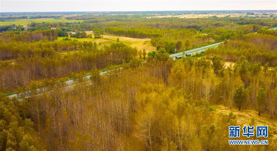 （在習(xí)近平新時(shí)代中國特色社會主義思想指引下&mdash;&mdash;新時(shí)代新作為新篇章&middot;習(xí)近平總書記關(guān)切事&middot;圖文互動）（3）綠意，在黃沙中鋪展&mdash;&mdash;我國防沙治沙紀(jì)實(shí)