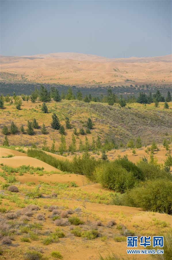 （在習(xí)近平新時(shí)代中國特色社會主義思想指引下&mdash;&mdash;新時(shí)代新作為新篇章&middot;習(xí)近平總書記關(guān)切事&middot;圖文互動）（6）綠意，在黃沙中鋪展&mdash;&mdash;我國防沙治沙紀(jì)實(shí)