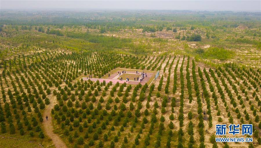 （在習(xí)近平新時(shí)代中國特色社會主義思想指引下&mdash;&mdash;新時(shí)代新作為新篇章&middot;習(xí)近平總書記關(guān)切事&middot;圖文互動）（2）綠意，在黃沙中鋪展&mdash;&mdash;我國防沙治沙紀(jì)實(shí)
