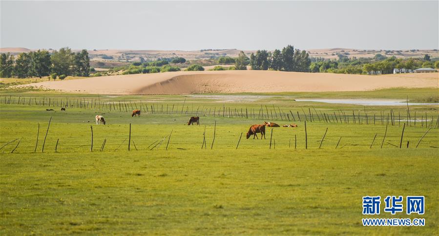 （在習(xí)近平新時(shí)代中國特色社會主義思想指引下&mdash;&mdash;新時(shí)代新作為新篇章&middot;習(xí)近平總書記關(guān)切事&middot;圖文互動）（9）綠意，在黃沙中鋪展&mdash;&mdash;我國防沙治沙紀(jì)實(shí)