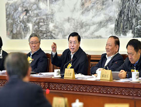 張德江參加全國人大常委會第十四次會議分組審議