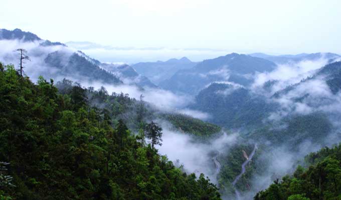 廣東乳源、廣東乳陽林場、云南華寧葫蘆口電站