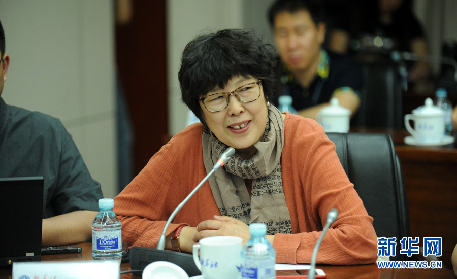 陳小波：新華人對(duì)歷史的擔(dān)當(dāng)、情感與良知