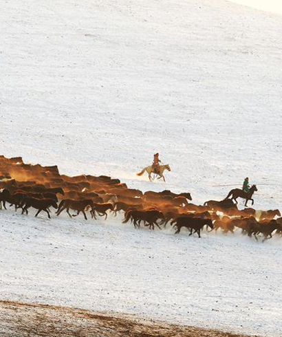 中國馬都&mdash;錫林郭勒2017冰雪那達(dá)慕