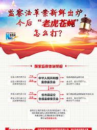 監(jiān)察法草案新鮮出爐 今后&ldquo;老虎蒼蠅&rdquo;怎么打？