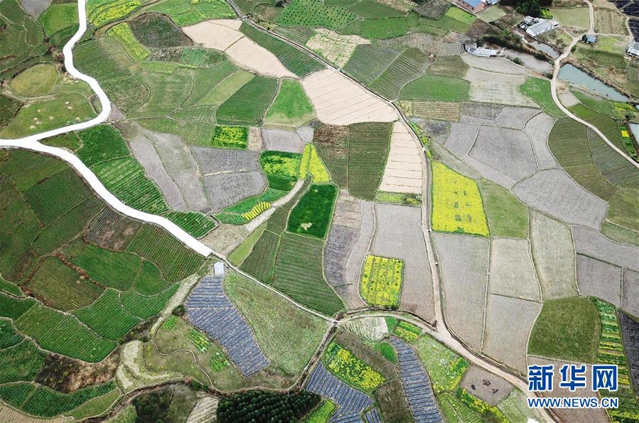 習近平為何如此看重&ldquo;美麗&rdquo;