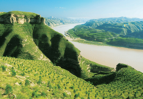 張建龍：&ldquo;三北工程&rdquo;實(shí)現(xiàn)生態(tài)、經(jīng)濟(jì)、社會(huì)效益&ldquo;多贏&rdquo;