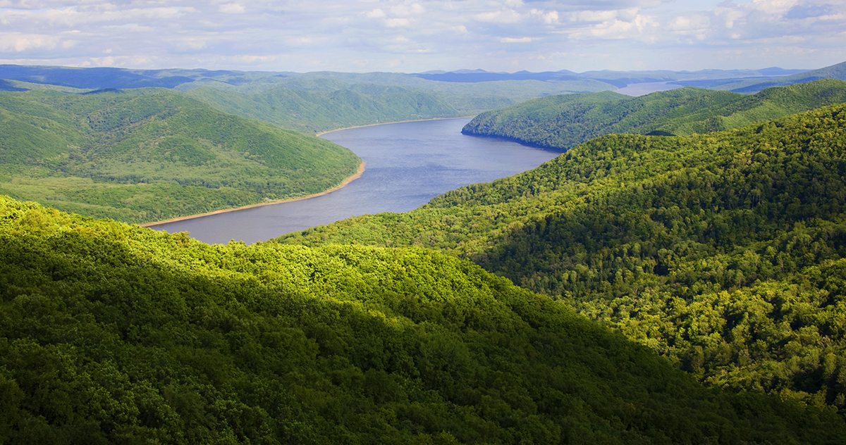 張建龍：&ldquo;三北工程&rdquo;實(shí)現(xiàn)生態(tài)、經(jīng)濟(jì)、社會(huì)效益&ldquo;多贏&rdquo;