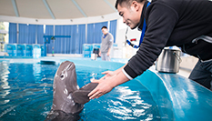 水生館里的&ldquo;長(zhǎng)江國(guó)寶&rdquo;