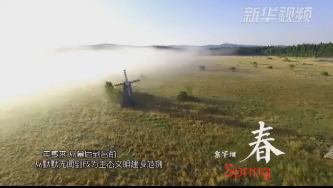 塞罕壩：那一抹綠色，走進越來越多人心里