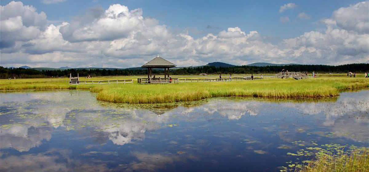 那一抹綠色，走進(jìn)越來(lái)越多人心里&mdash;&mdash;河北塞罕壩續(xù)寫(xiě)新時(shí)代綠色傳奇