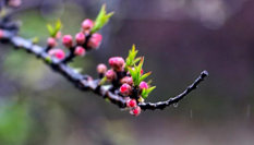 隨心而行，走走停停始終精彩。