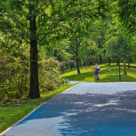 廣州3500多公里綠道打造城市&ldquo;幸福路&rdquo;