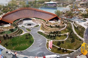 重磅微視頻|綠色之美