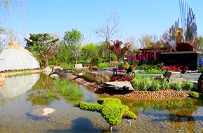 從媯水河到白洋淀 見證同一個(gè)綠色夢想