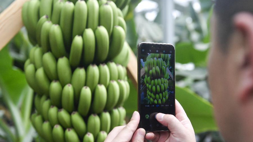 吉林萬昌現(xiàn)代農(nóng)業(yè)發(fā)展先導(dǎo)區(qū)&ldquo;三變&rdquo;