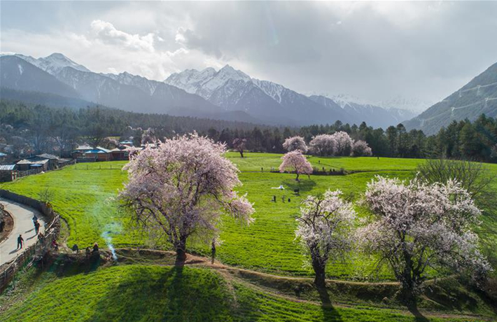 生態(tài)中國&middot;醉美西藏高原情