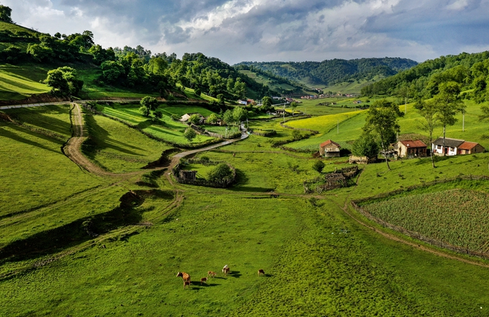 生態(tài)中國&middot;擁青攬翠三秦俊