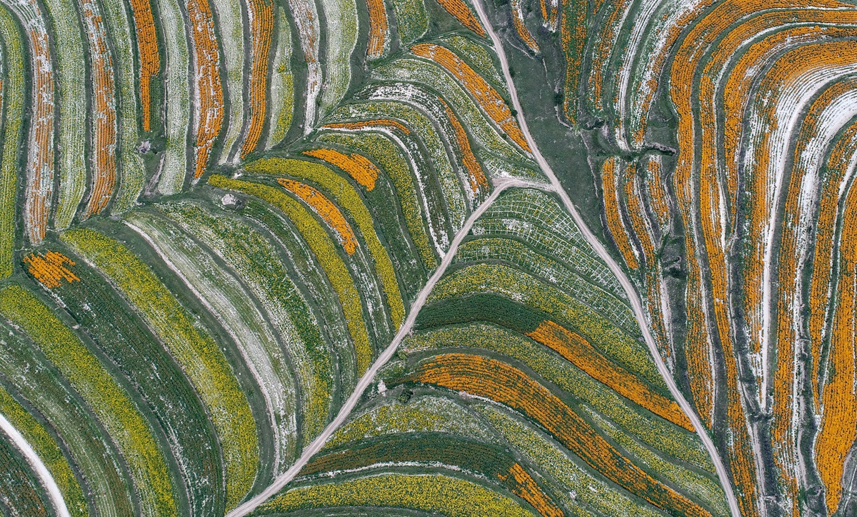 生態(tài)中國&middot;塞上江南沙水依