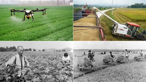 壯麗70年&middot;奮斗新時代丨在希望的田野上