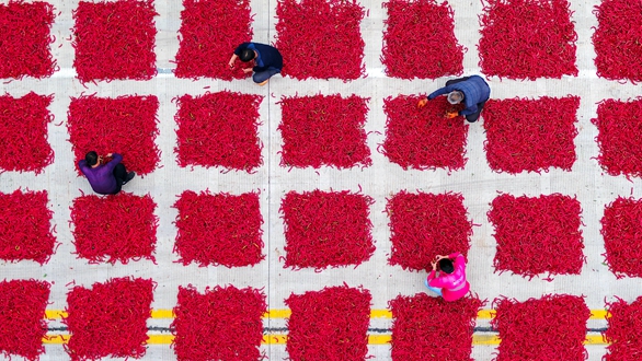 壯麗70年&middot;奮斗新時代丨瞰豐收