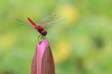 2019，精&ldquo;彩&rdquo;紛呈