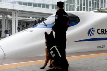 警犬&ldquo;神威&rdquo; 護航春運