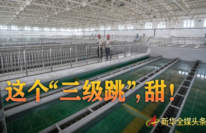 這個&ldquo;三級跳&rdquo;，甜！