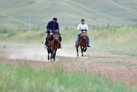 相馬&ldquo;伯樂&rdquo;李懷智的好日子
