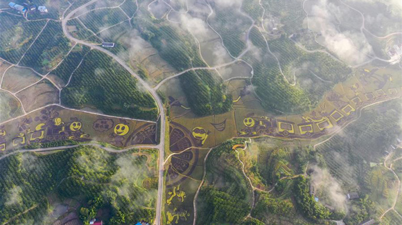 百城千縣萬村調(diào)研行｜在三峽橘鄉(xiāng)，遇見最美的田園時光！