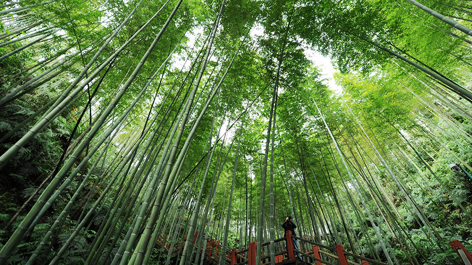 合作共治、責任共擔、效益共享&mdash;&mdash;赤水河流域跨省生態(tài)補償取得積極成效